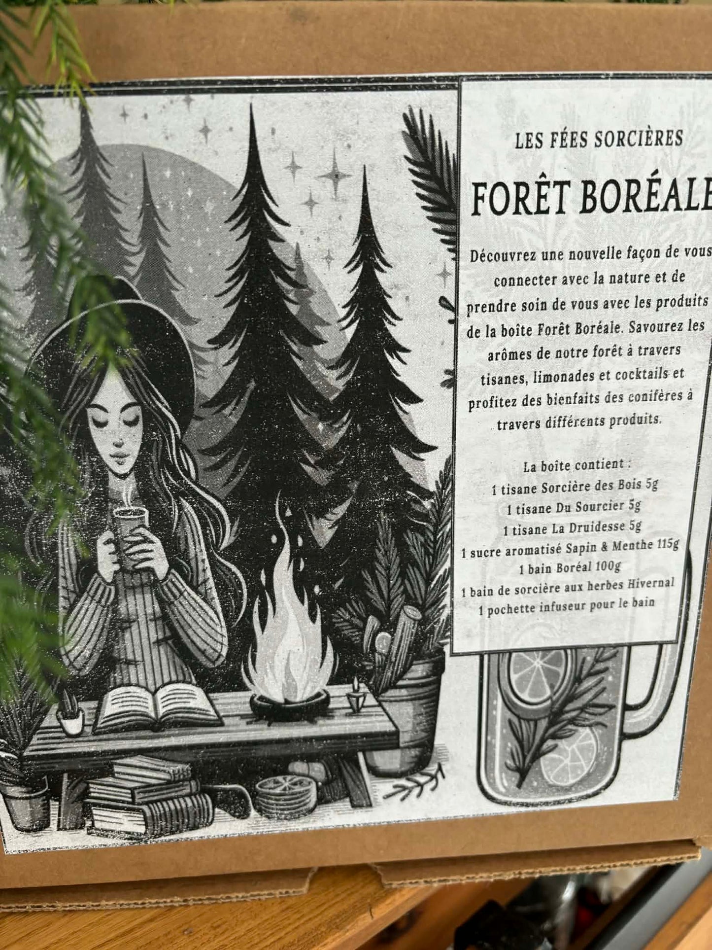 Boite - Fôret Boréale