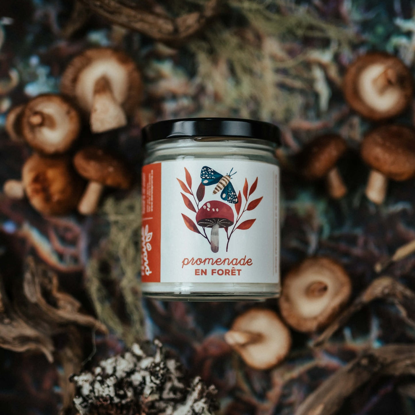 Bougie - Promenade en forêt