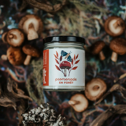 Bougie - Promenade en forêt