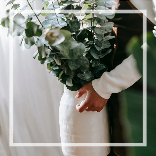 Bruine d'ambiance - Eucalyptus Menthe