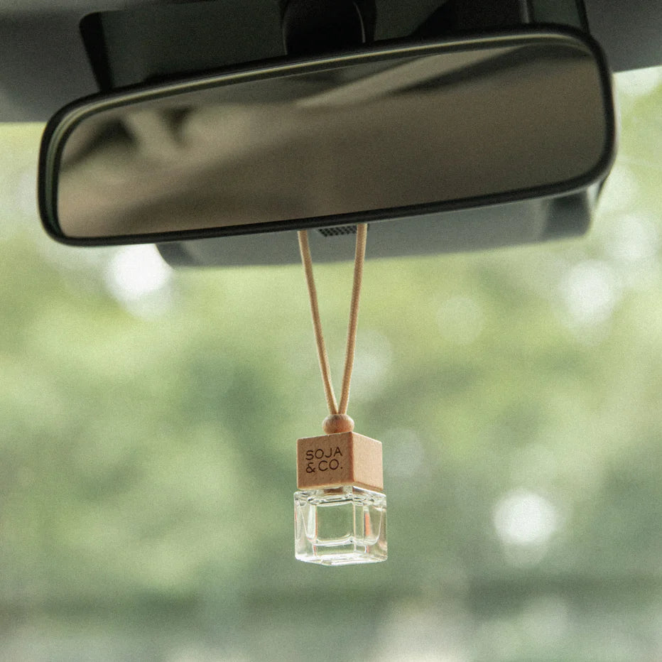 SOJA&co. DIFFUSEUR POUR VOITURE | MELON + AIR SALIN