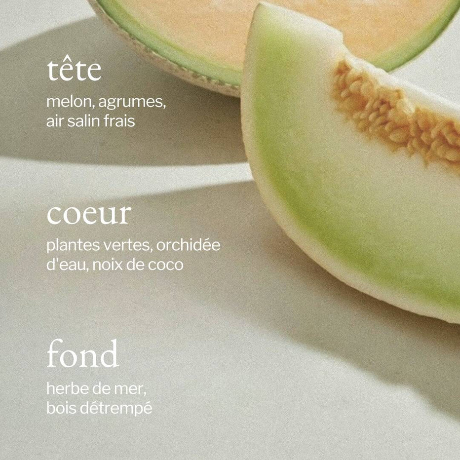 SOJA&co. DIFFUSEUR POUR VOITURE | MELON + AIR SALIN