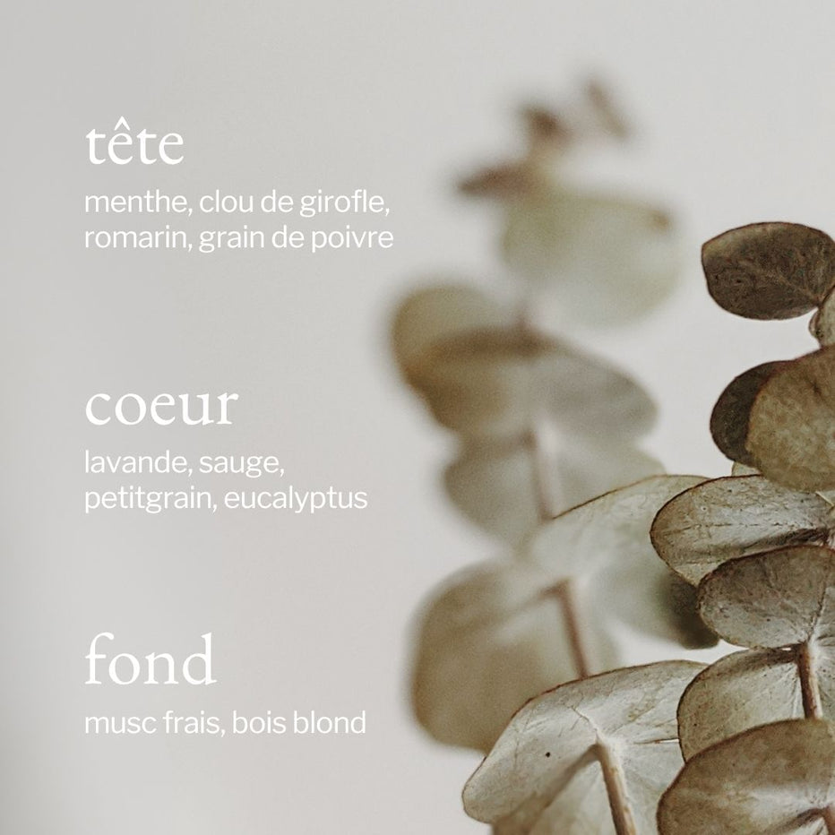 SOJA&co. BOUGIE | EUCALYPTUS, MENTHE & ROMARIN