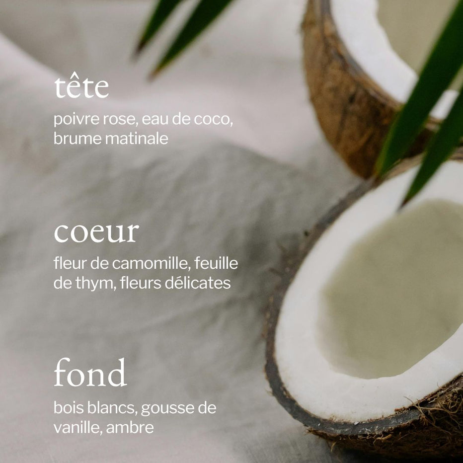 SOJA&co. NETTOYANT TOUT USAGE | THYM +