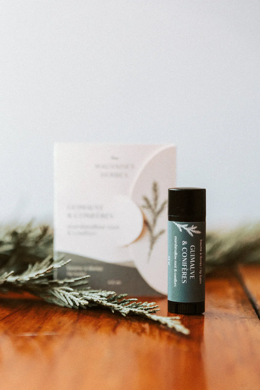 Baume à lèvres - Guimauve et Conifères