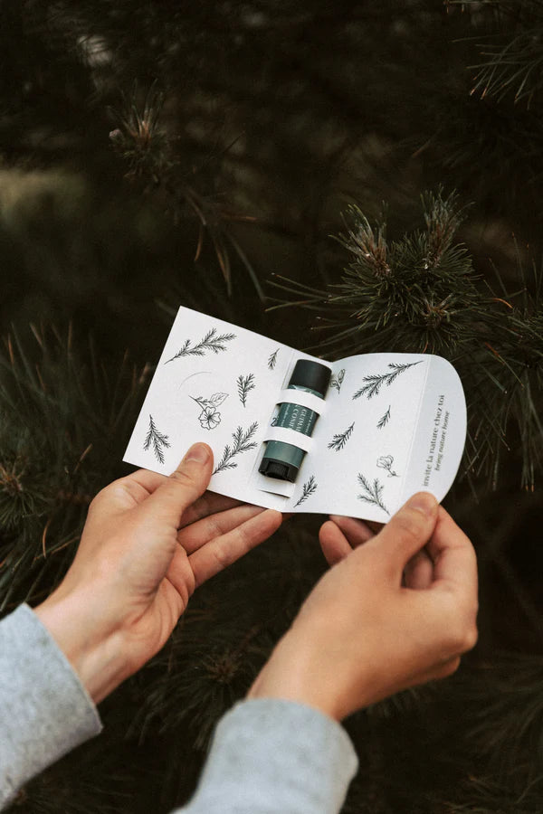 Baume à lèvres - Guimauve et Conifères